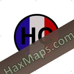 FRANCIA BANDERA 100 REAL